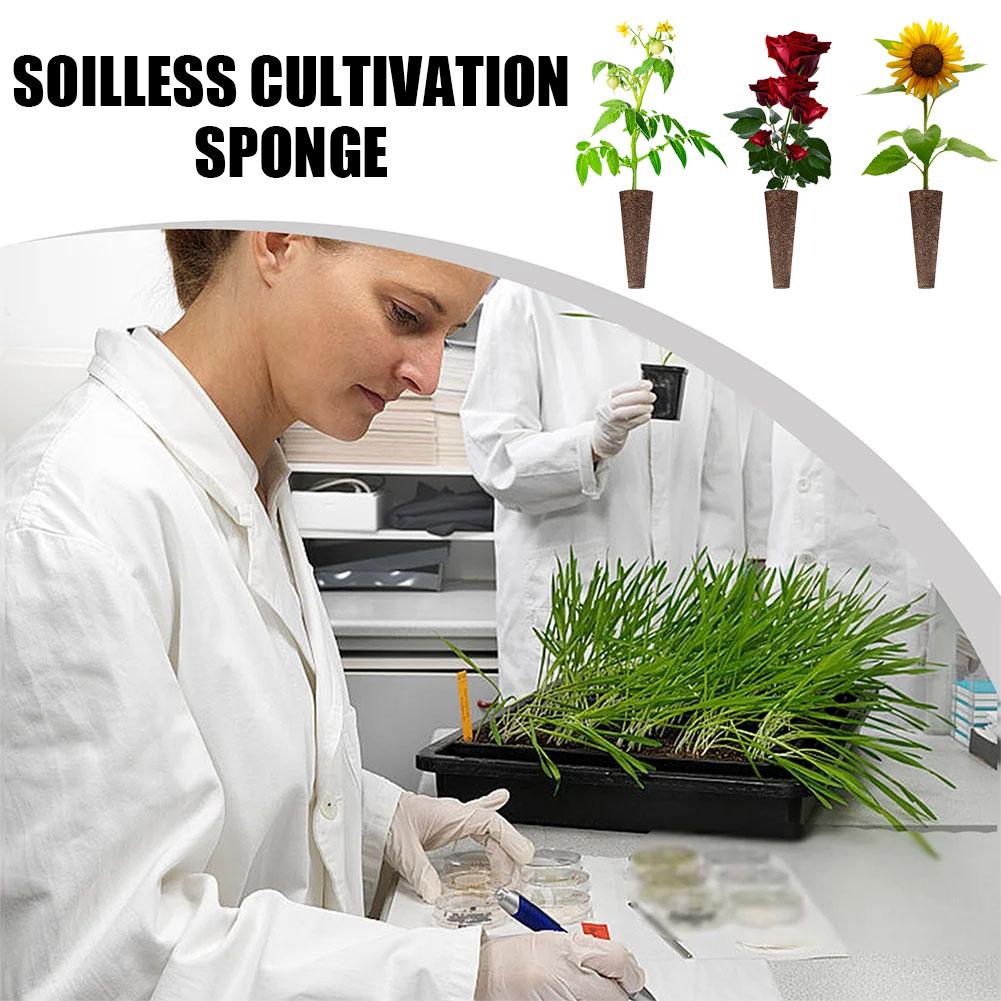 50Pcs Seed Grow Sponges Replac - Aerogarden Seed Pod review and price