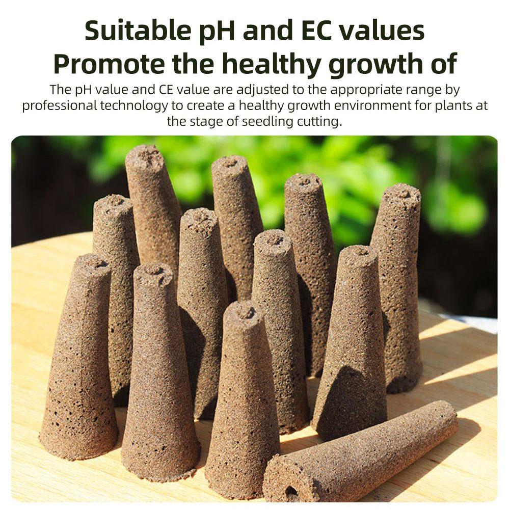 50Pcs Seed Grow Sponges Replac - Aerogarden Seed Pod review and price