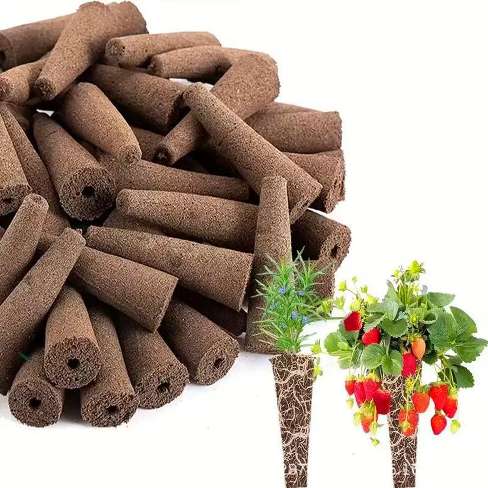50Pcs Seed Grow Sponges Replac - Aerogarden Seed Pod review and price