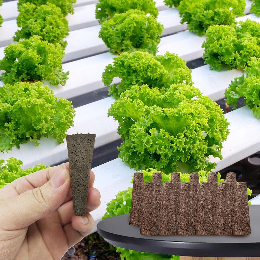 50Pcs Seed Grow Sponges Replac - Aerogarden Seed Pod review and price