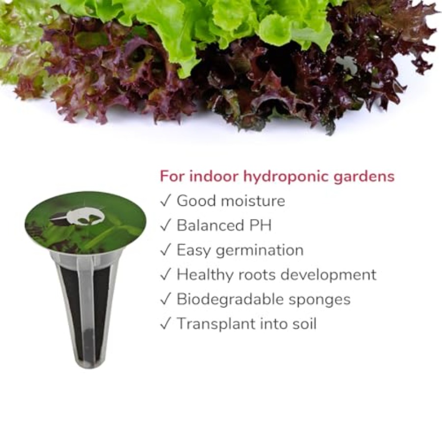 20-pod Seed Kit Lettuce Salad  - Aerogarden Seed Pod review and price