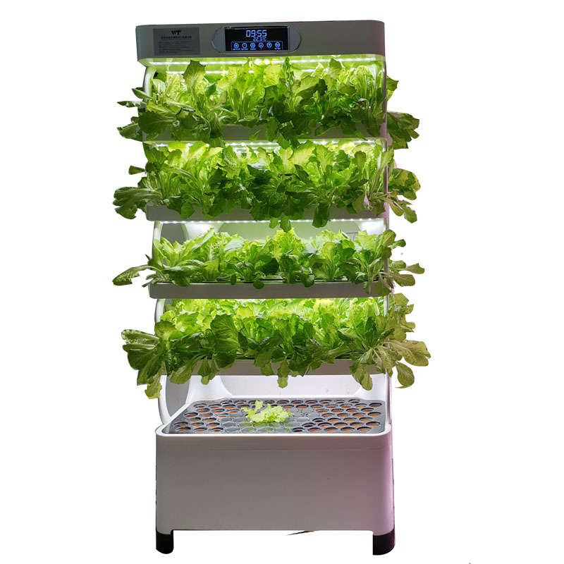 Indoor Smart Low Cost Hydropon - Smart Garden Indoor review and price