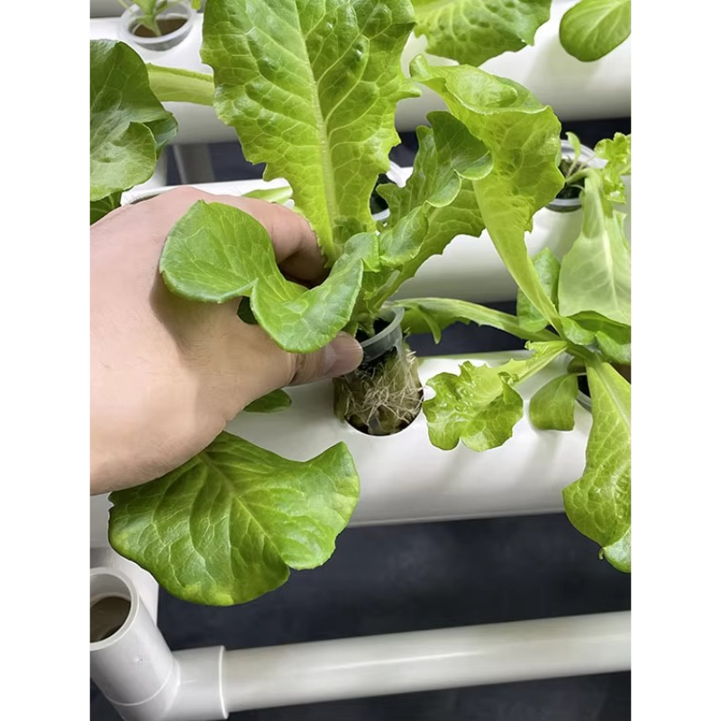 108 Holes Hydroponic Grow Kit  - Aquaponics Home Kit review and price