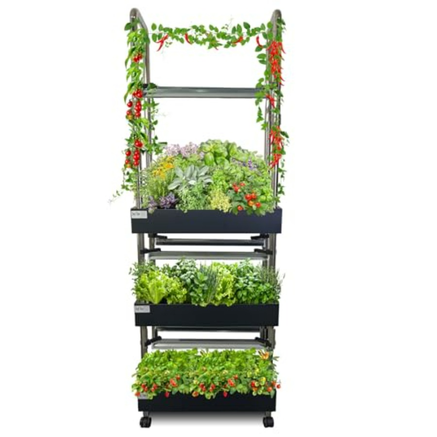Indoor hydroponics growing sys - Smart Garden Indoor review and price