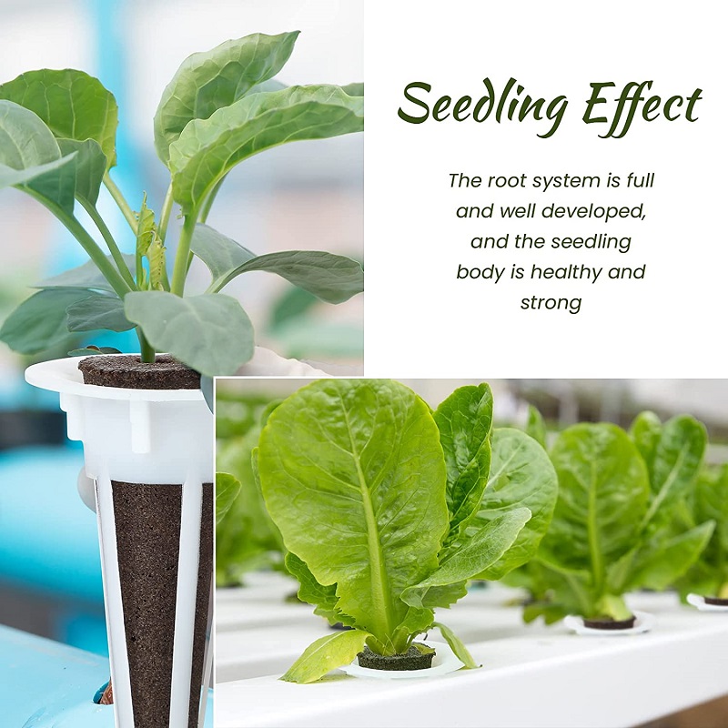 50/100pcs Plant Grow Basket Fo - Aerogarden Seed Pod review and price