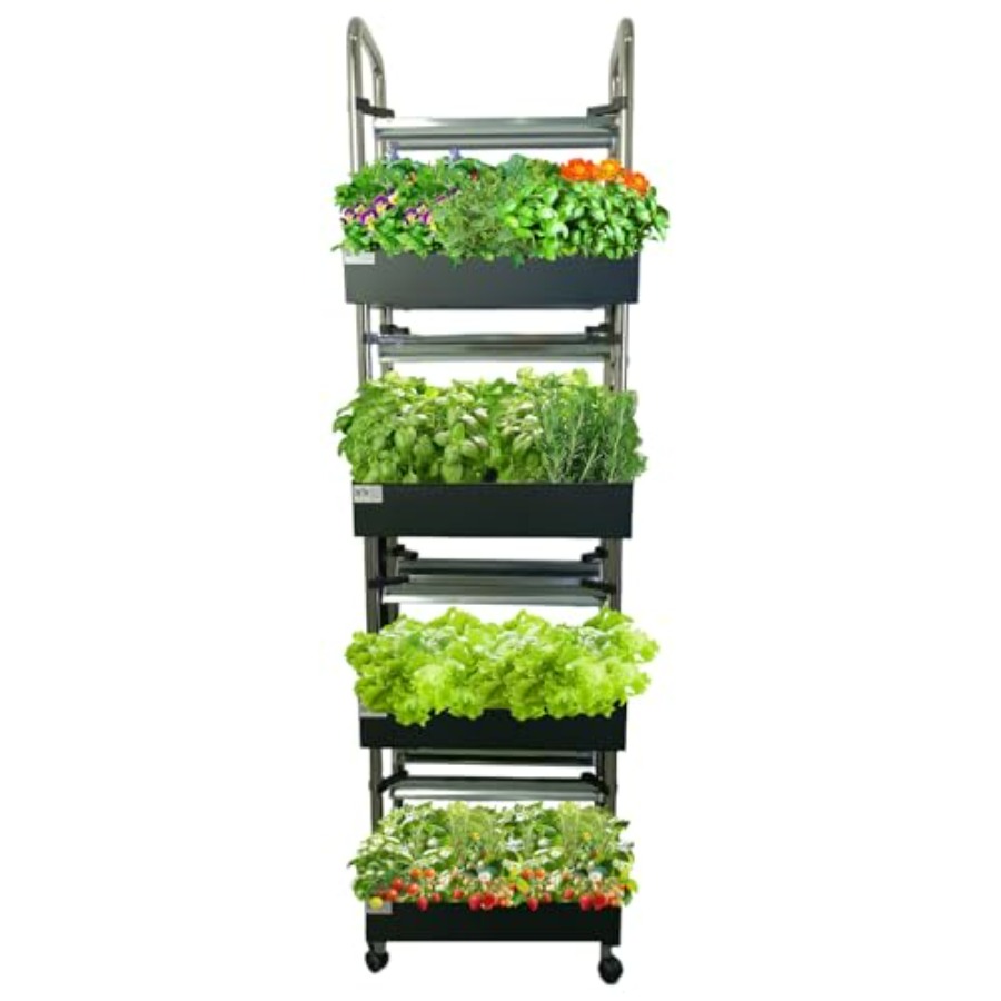 Indoor hydroponics growing sys - Smart Garden Indoor review and price