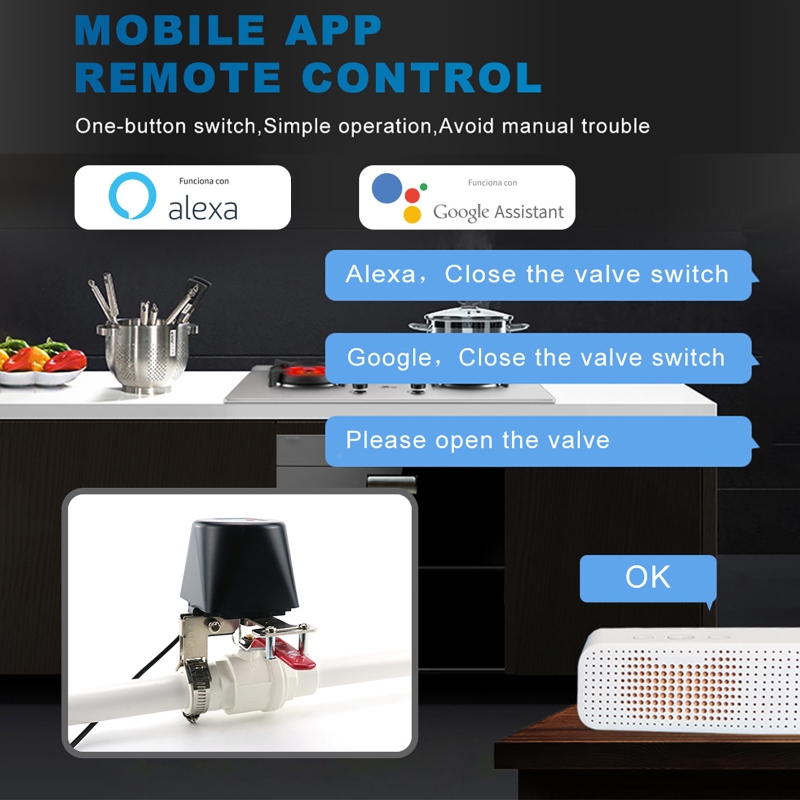 Tuya Smart Gas Valve WIFI Gard - Smart Garden Valve review and price