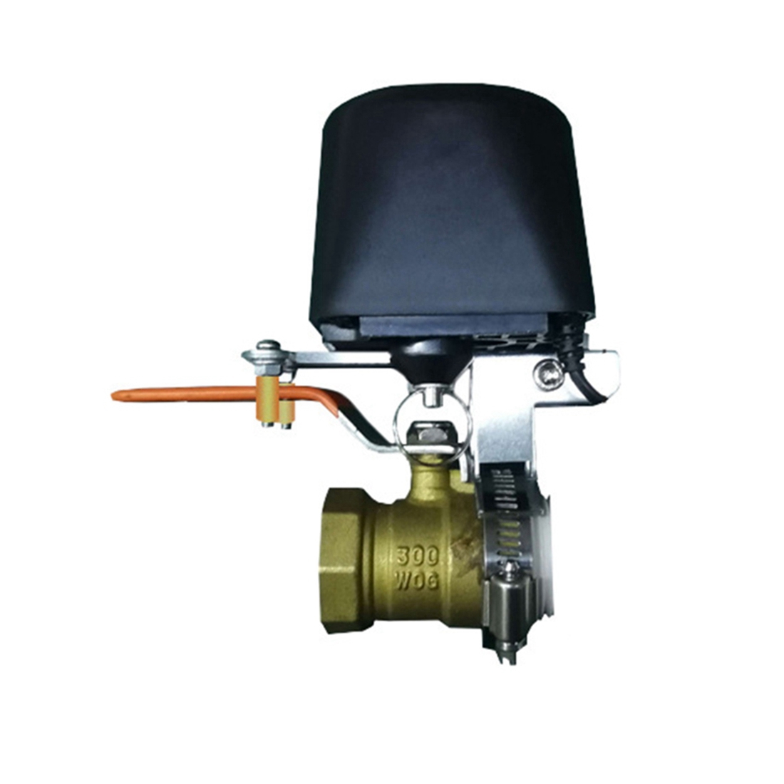 (A02R] Tuya Smart WiFi Water V - Smart Garden Valve review and price